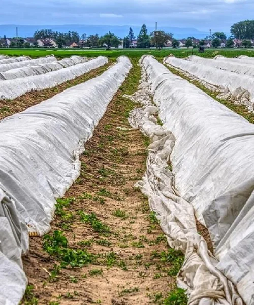 crop cover manufacturers in gujarat